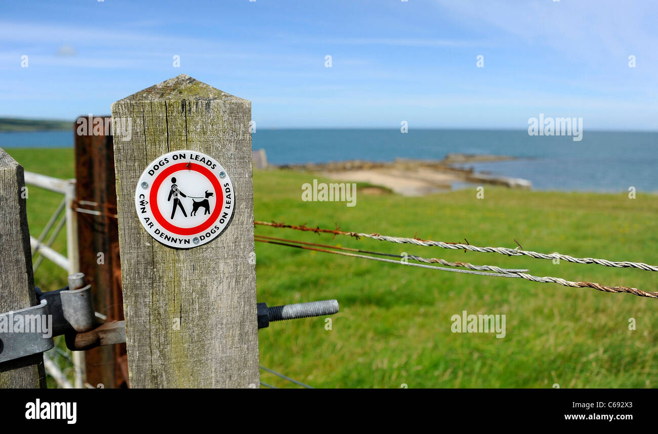 Cani su segno di piombo, Moelfre sentiero costiero, il Galles del Nord. Foto Stock