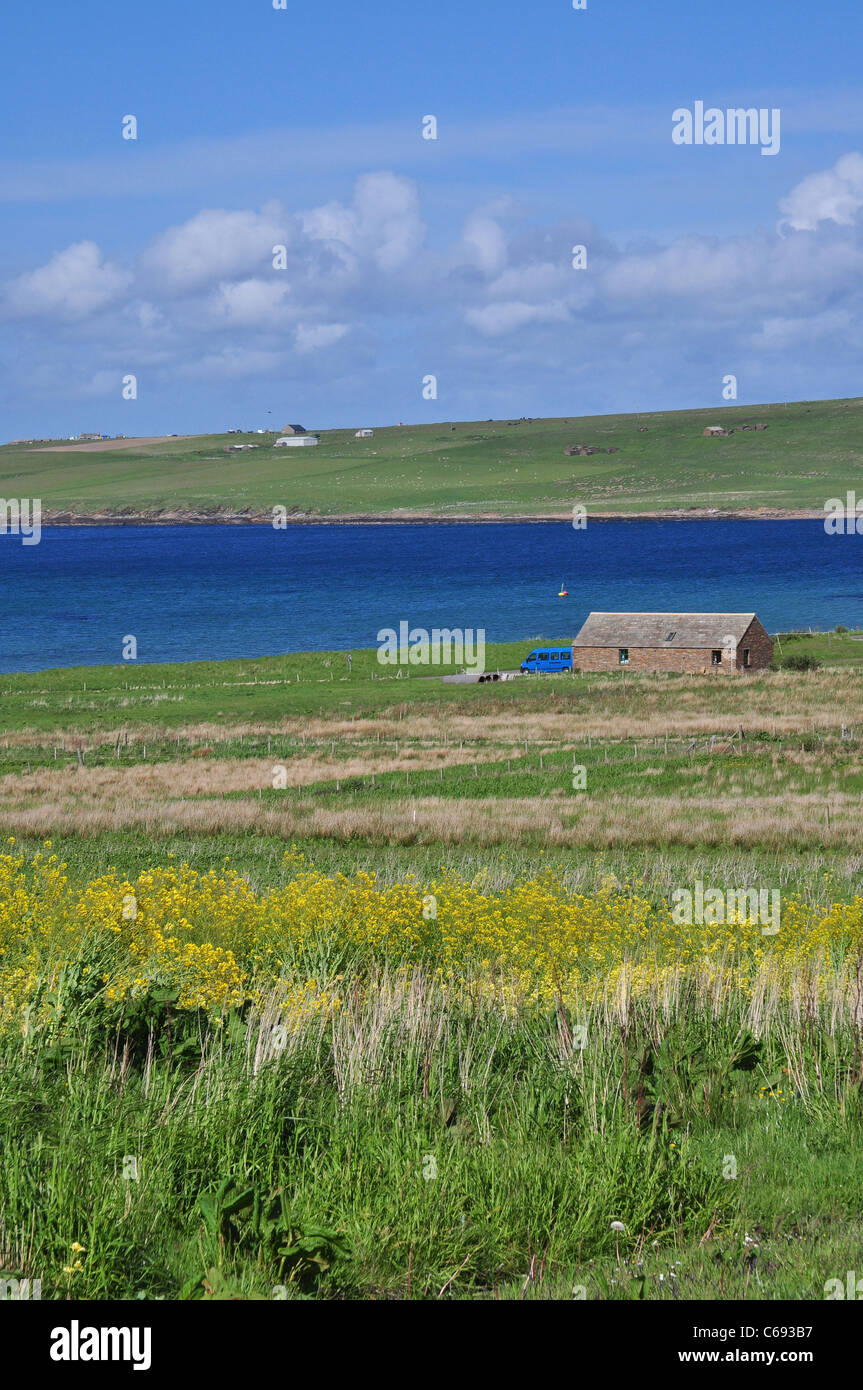 La fattoria e pascolo dell isola di Hoy, isole Orcadi, Scozia. Foto Stock