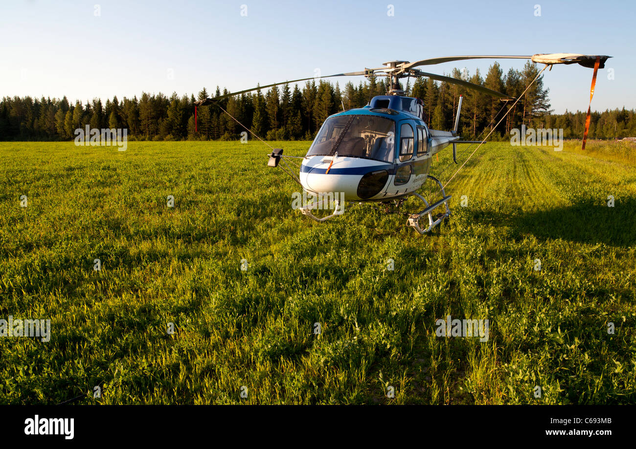 Elicottero è atterrato a un campo , Finlandia Foto Stock