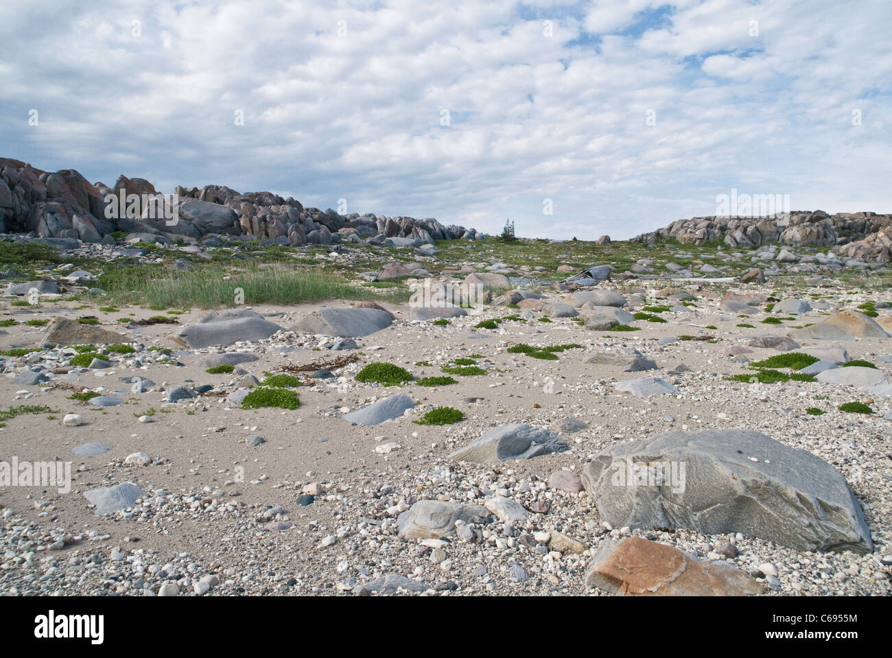 Tundra rocciosa terreno lungo la costa occidentale della Baia di Hudson, in corrispondenza del bordo della protezione canadese, vicino alla città di Churchill, Manitoba, Canada. Foto Stock