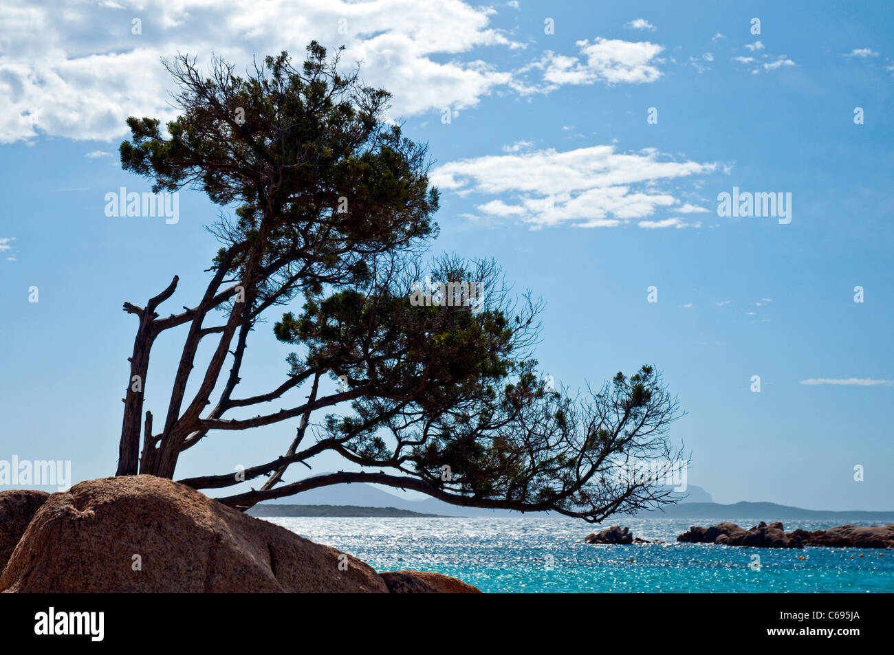 Tratto di mare della costa della Sardegna in Italia Foto Stock