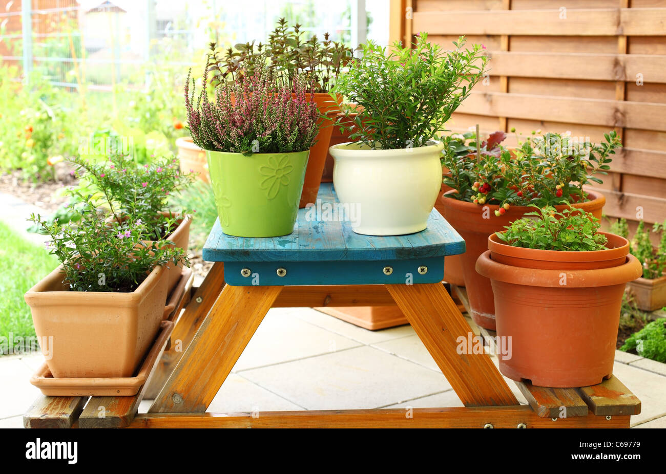 Outdoor vasi di fiori per il piccolo giardino, patio o terrazza Foto Stock