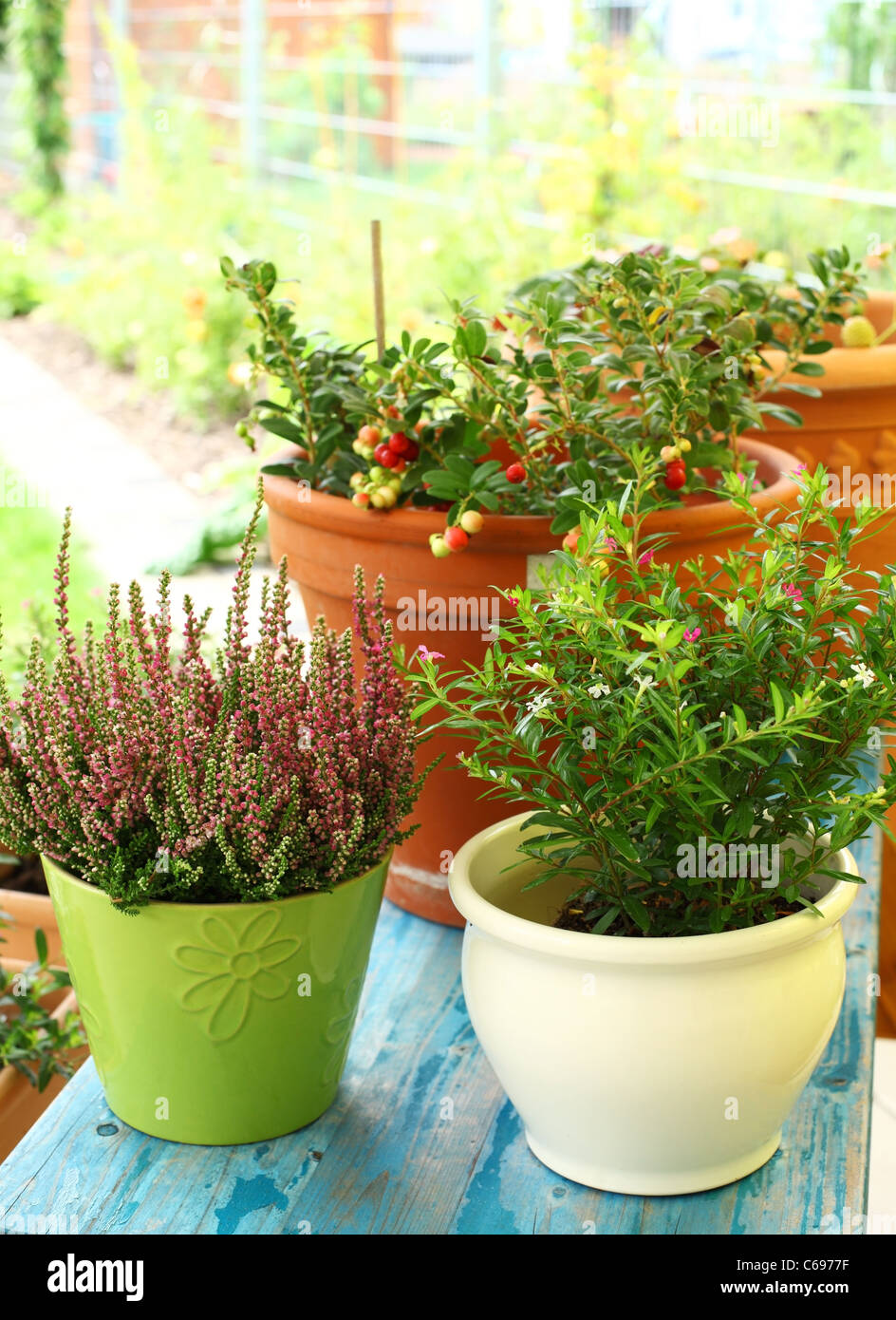 Outdoor vasi di fiori per il piccolo giardino, patio o terrazza Foto Stock
