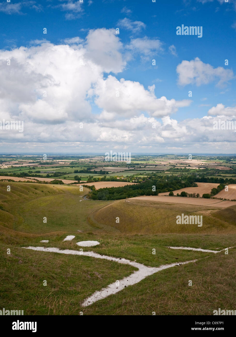 Il 3000 anno di età (età del bronzo) Uffington White Horse chalk figura su White Horse Hill, Oxfordshire, Inghilterra. Foto Stock