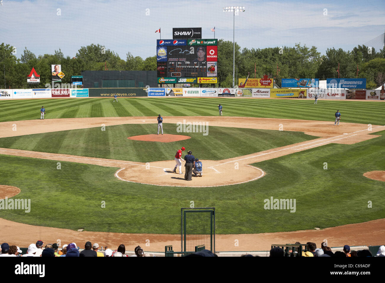 In corso di gioco dietro la rete di sicurezza shaw park baseball stadium precedentemente canwest home al Winnipeg goldeyes Winnipeg Manitoba Foto Stock
