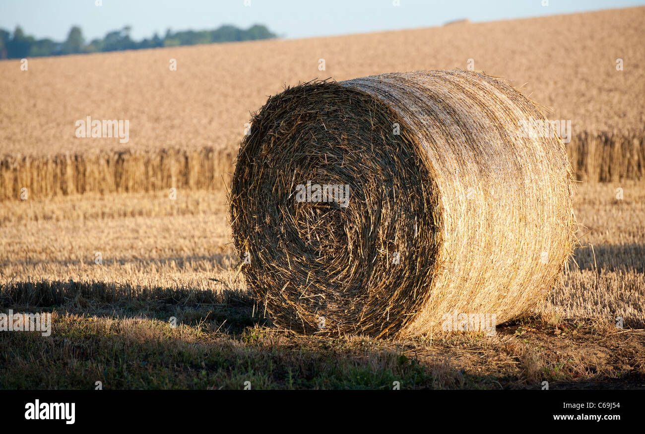 Le balle di paglia in un campo di grano al tempo del raccolto nella campagna inglese Foto Stock