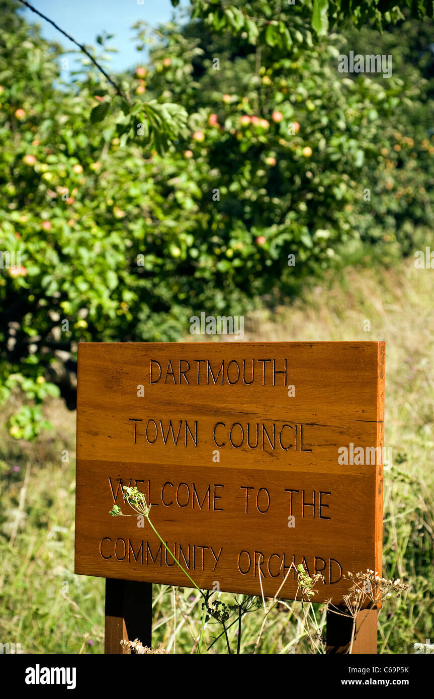 Dartmouth Community orchard,agricola, l'agricoltura, Apple, autunno, diramazione mazzetto, colore, copia, raccolto, deliziosa, dieta, mangiare, Foto Stock