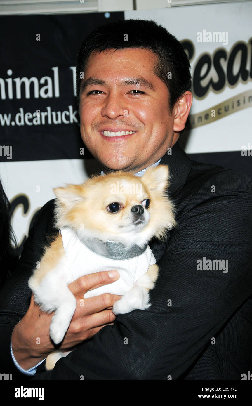 Carl Quintanilla, CNBC anchor di presenze per cucciolo amore a Yappy ora Humane Society di New York beneficio, Carlton Hotel, New York, NY Febbraio 11, 2011. Foto di: Desiree Navarro/Everett Collection Foto Stock