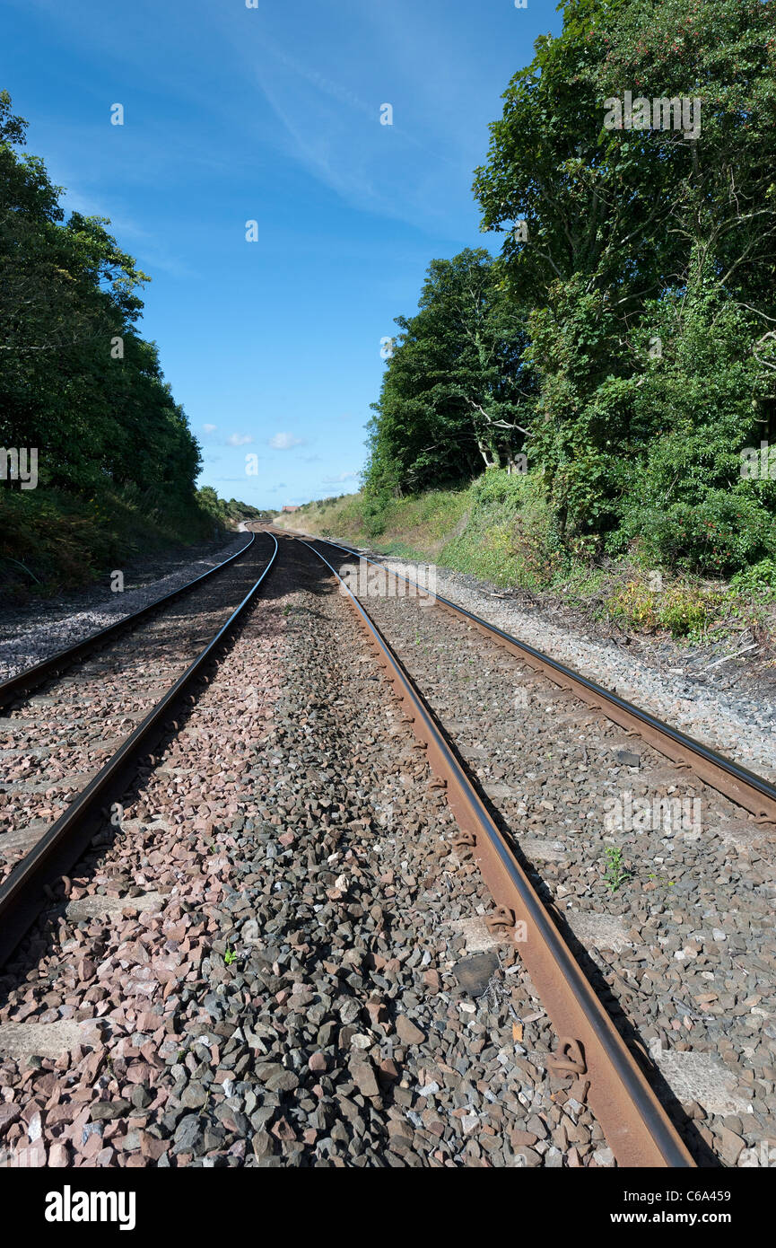 Binari ferroviari Foto Stock