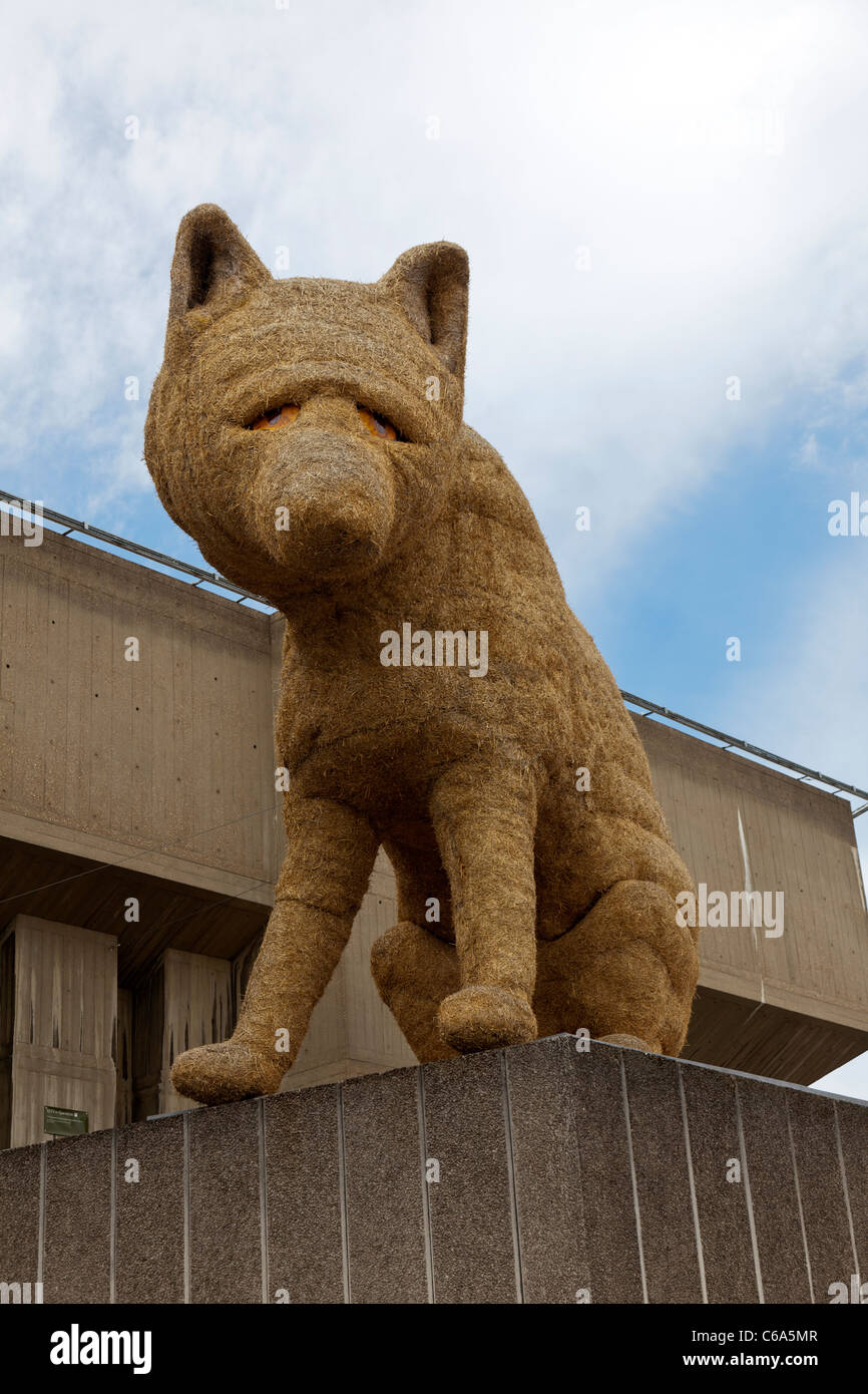 Urban Fox artwork di paglia, Queen Elizabeth Hall Waterloo Bridge terrazza, Southbank, Londra. Foto Stock