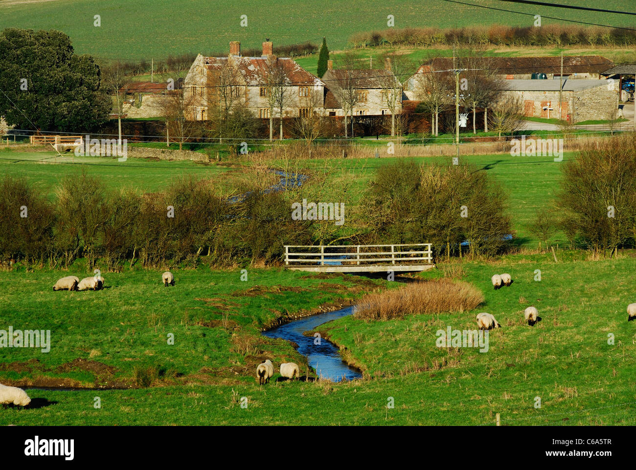 Il borgo rurale di Wynford Eagle, il West Dorset Regno Unito Foto Stock