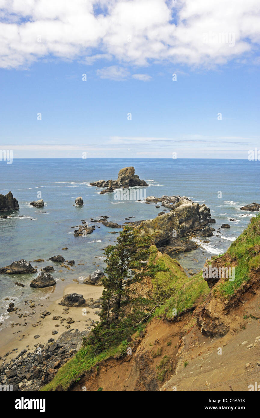 La costa scoscesa della Oregon nella regione nordovest del Pacifico, Stati Uniti d'America. Foto Stock