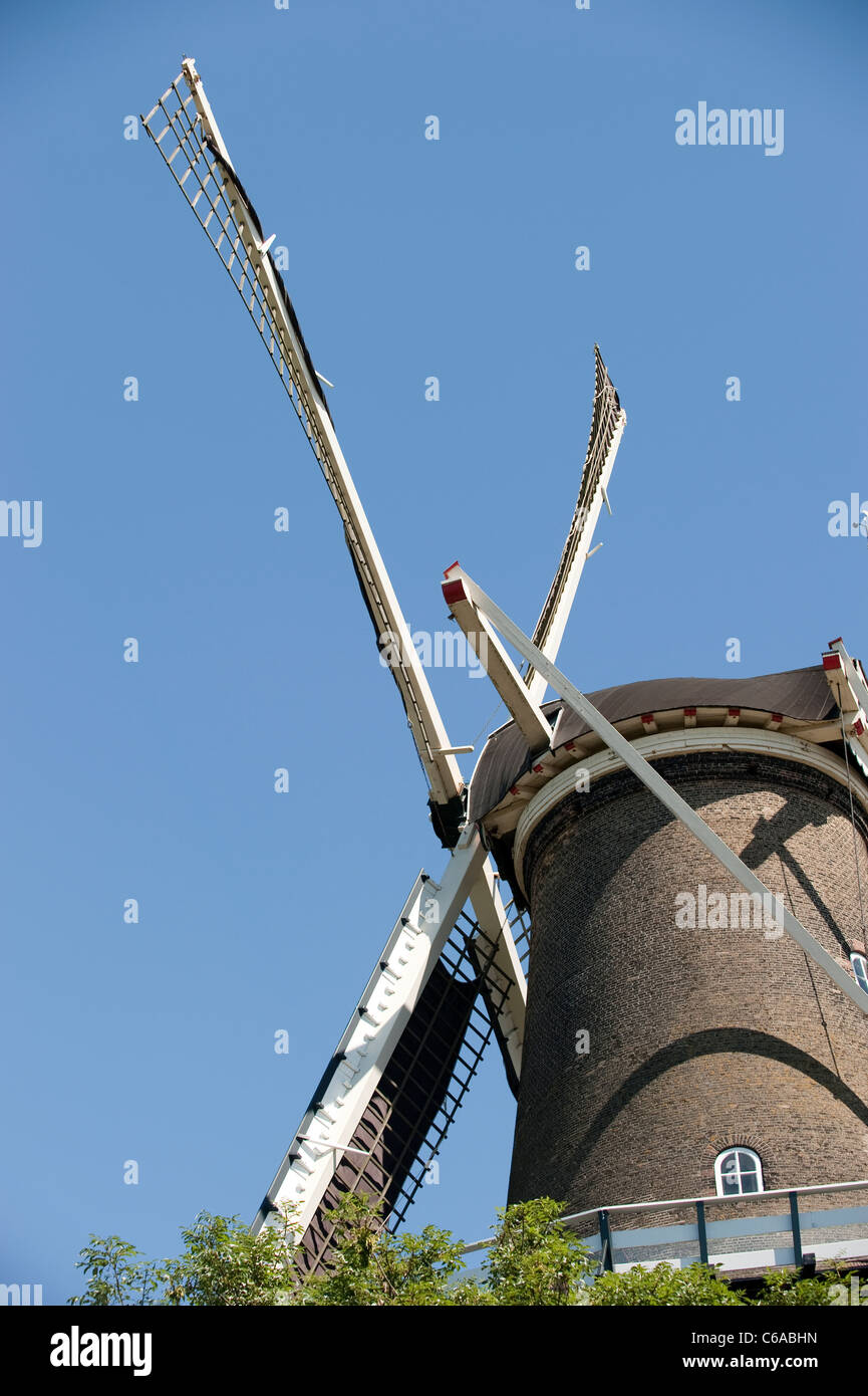 Il Vecchio Mulino a vento olandese Leiden Paesi Bassi Olanda Europa Foto Stock