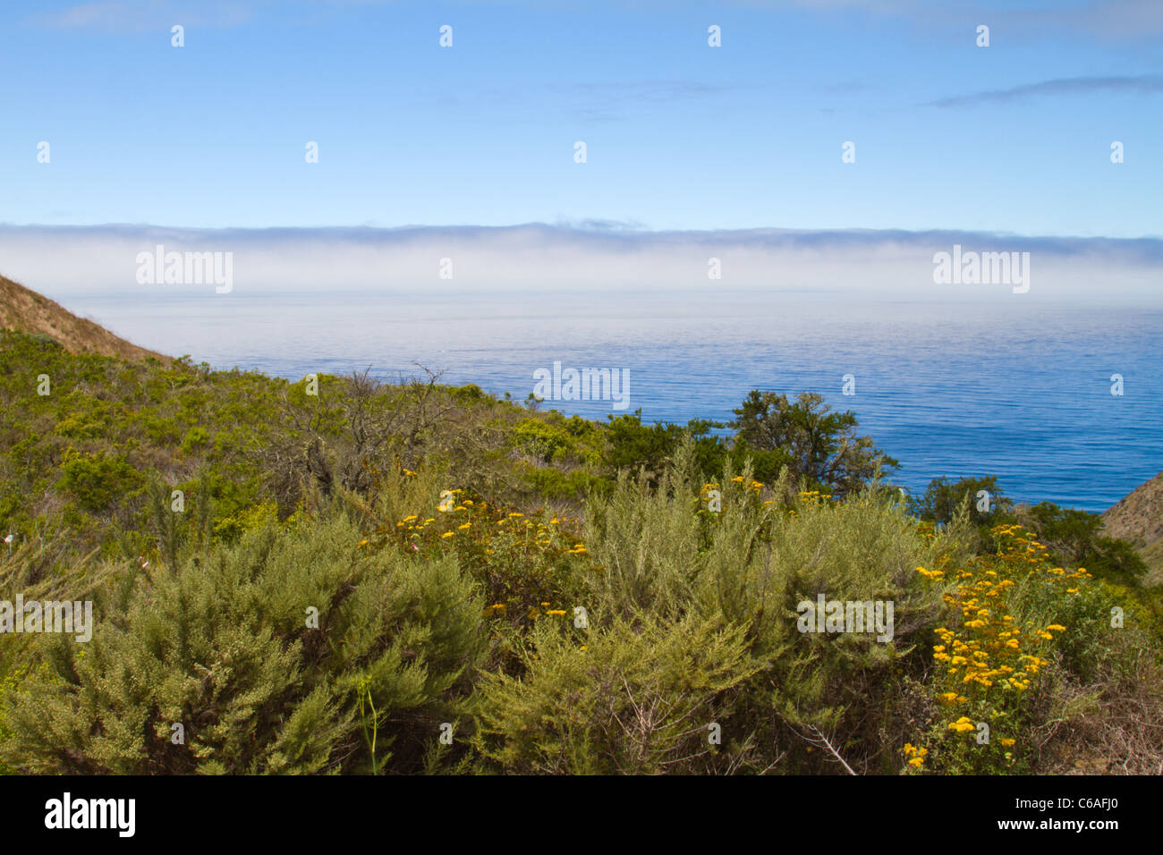 Nebbia banca off Big Sur Costa in California Foto Stock