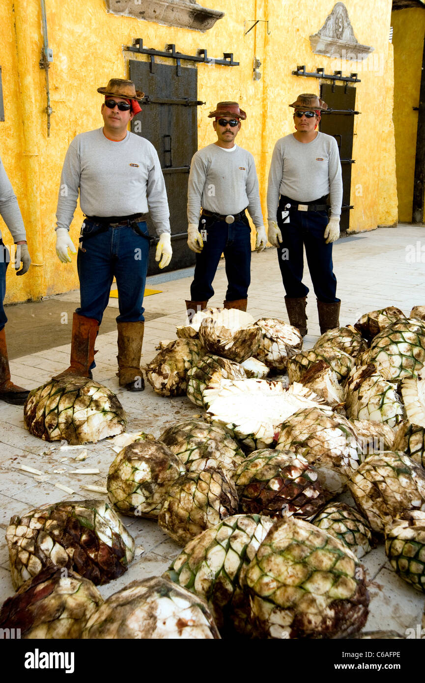 Lavoratori a Jose Cuervo Stabilimento di Tequila Foto Stock