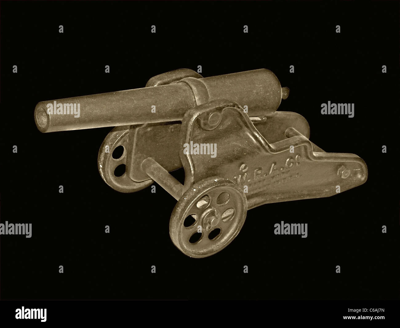 Il cannone, un fiore Foto Stock