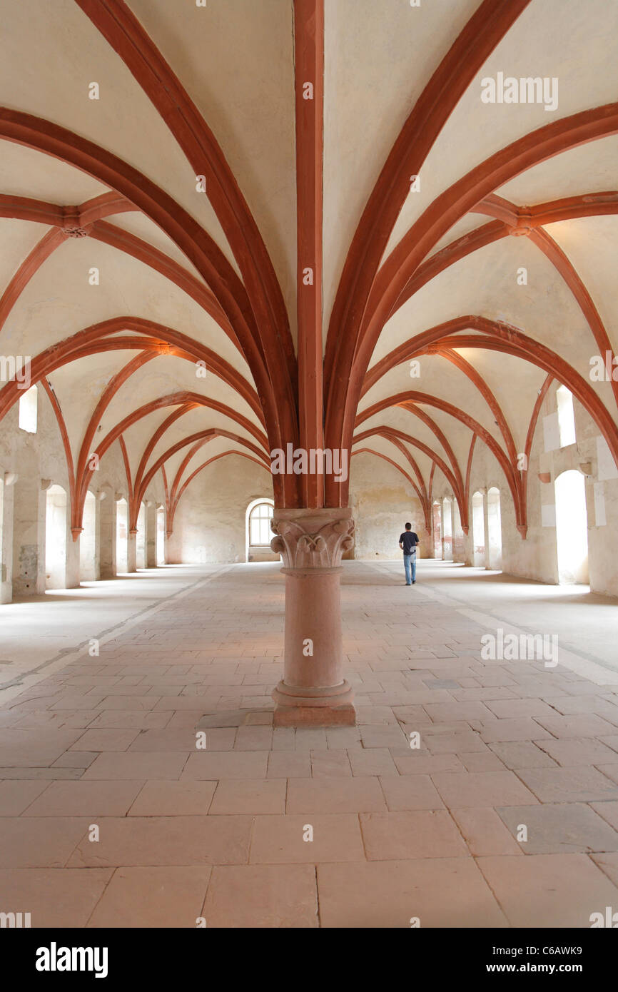 Il dormitorio, Eberbach offrono Abbey, Kloster Eberbach offrono, Hesse, Germania Foto Stock