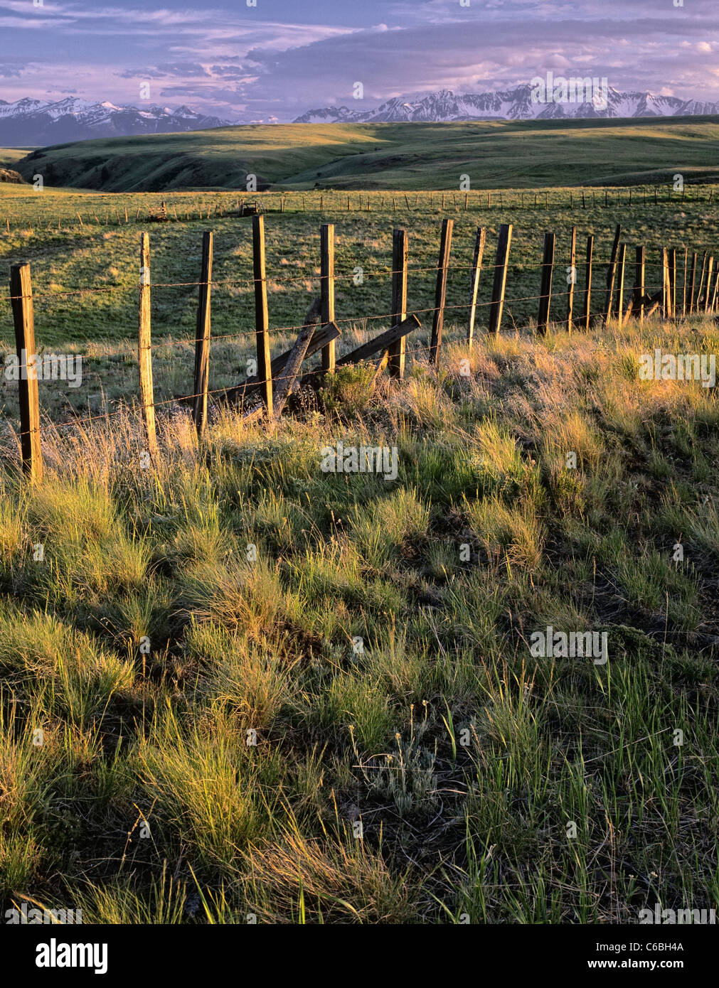 Luce della Sera bagna dell'Oregon Zumwalt Prairie con i lontani innevate montagne Wallowa. Foto Stock