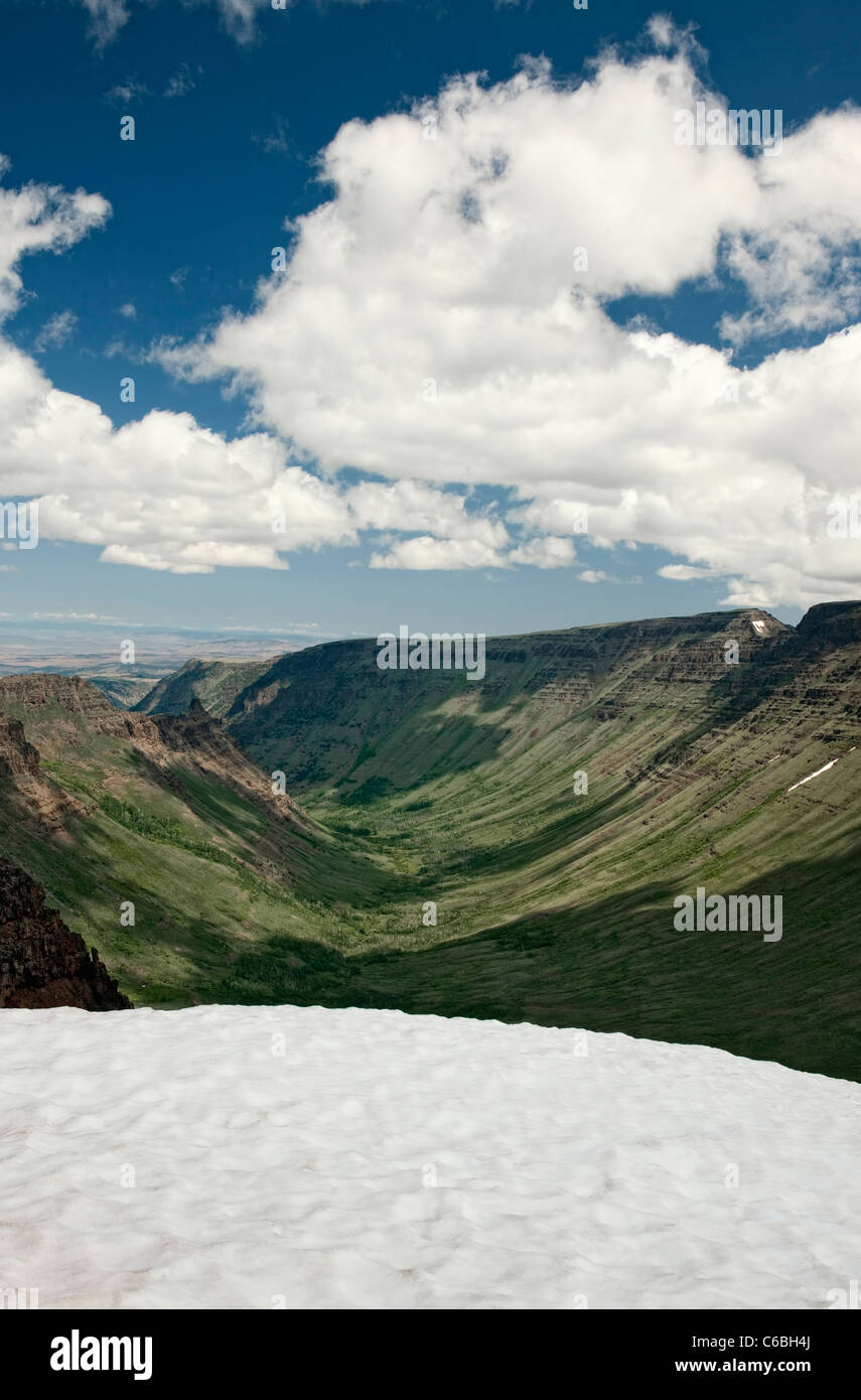 Ripiano di neve si estende in luglio si affaccia su questa vista spettacolare forra Kiger sulla cima di sé dell'Oregon Steens Mountain Wilderness Area. Foto Stock