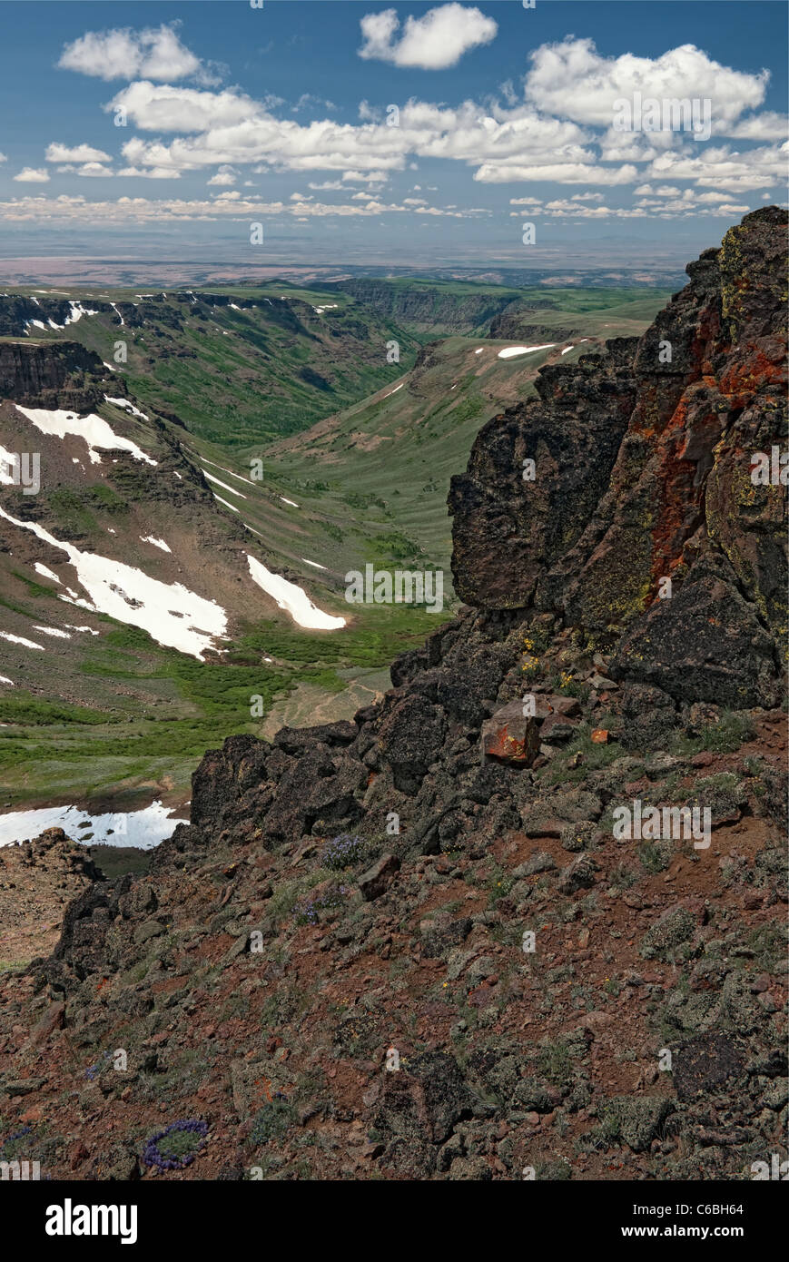 Il Lichen coperto il basalto si affaccia su questa vista spettacolare di poco Blitzen Gorge in cima SE dell'Oregon Steens Mountain Wilderness Area. Foto Stock