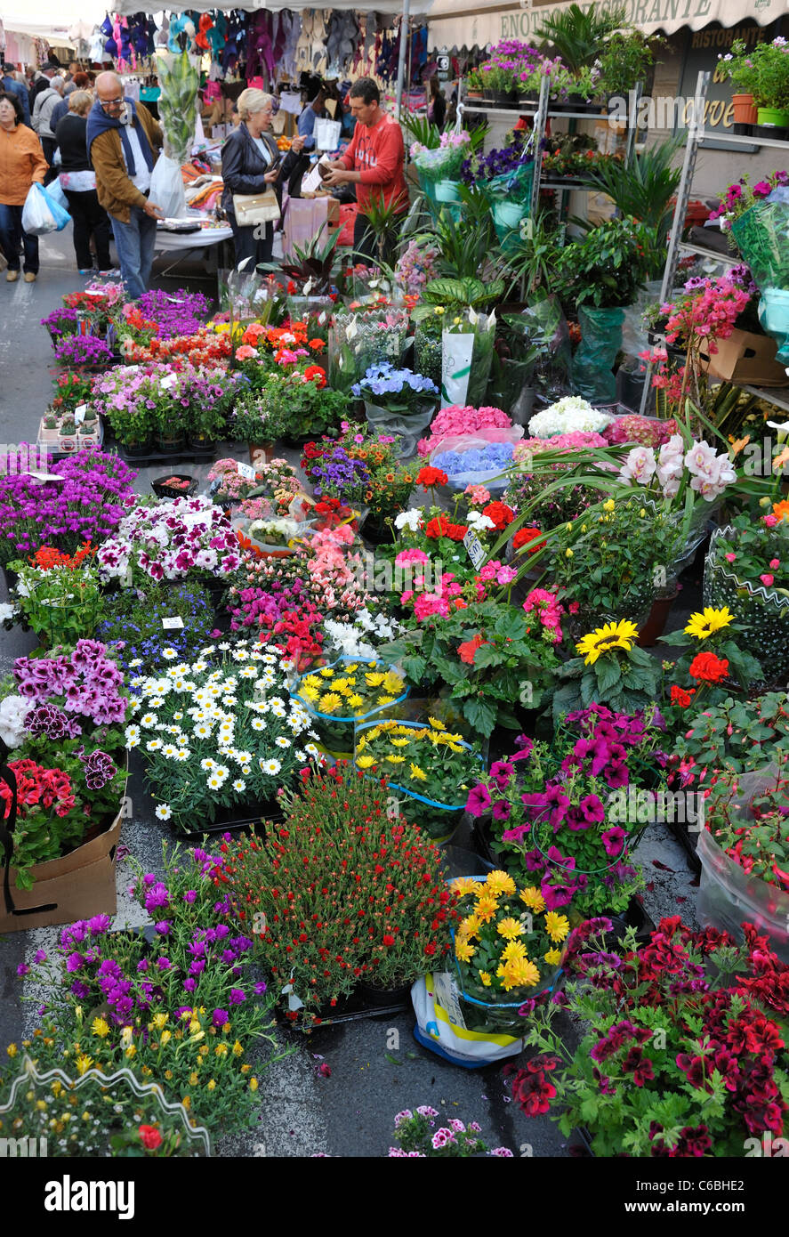 Fiori e piante per la vendita nel mercato della città di Oneglia Imperia  Italia Foto stock - Alamy