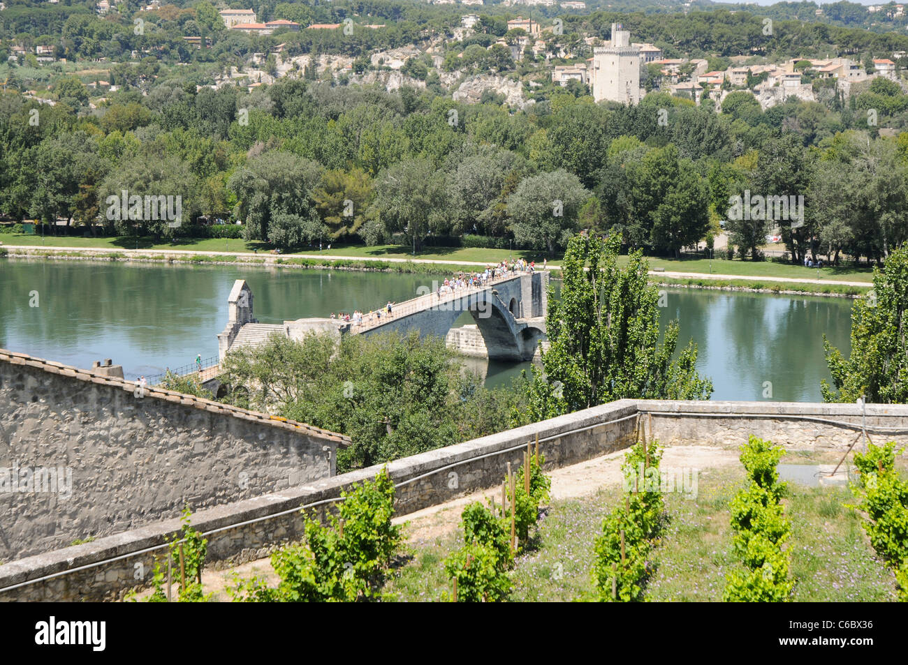 Pont Saint-Bénezet chiamato anche Pont d'Avignon oltre il Rodano ad Avignone, dipartimento di Vaucluse, regione della Provenza in Francia Foto Stock