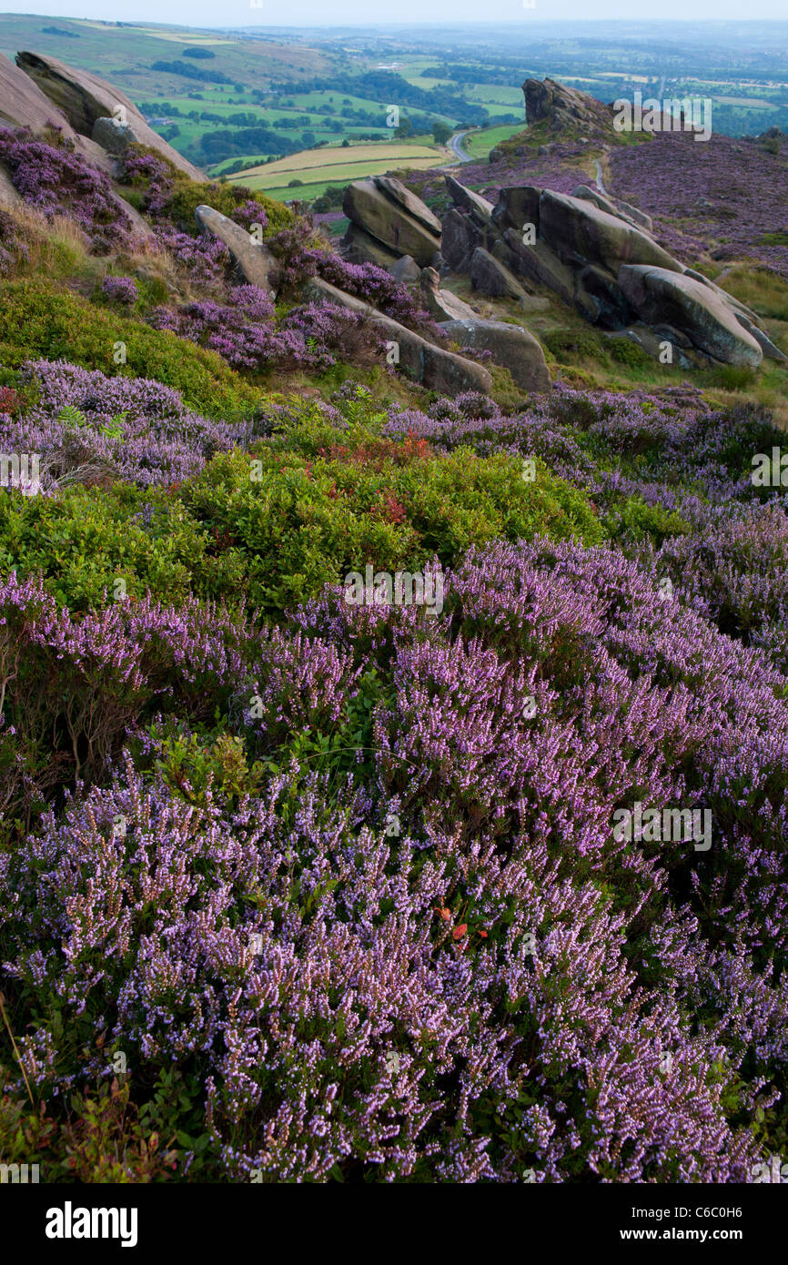 Ramshaw rocce, vicino a Leek, Staffordshire Moorlands, Parco Nazionale di Peak District Foto Stock