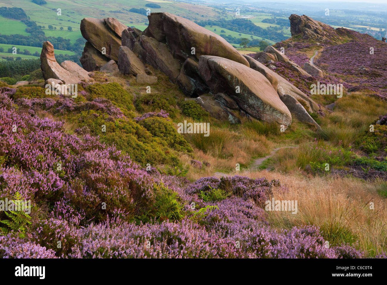 Ramshaw rocce, vicino a Leek, Staffordshire Moorlands, Parco Nazionale di Peak District Foto Stock