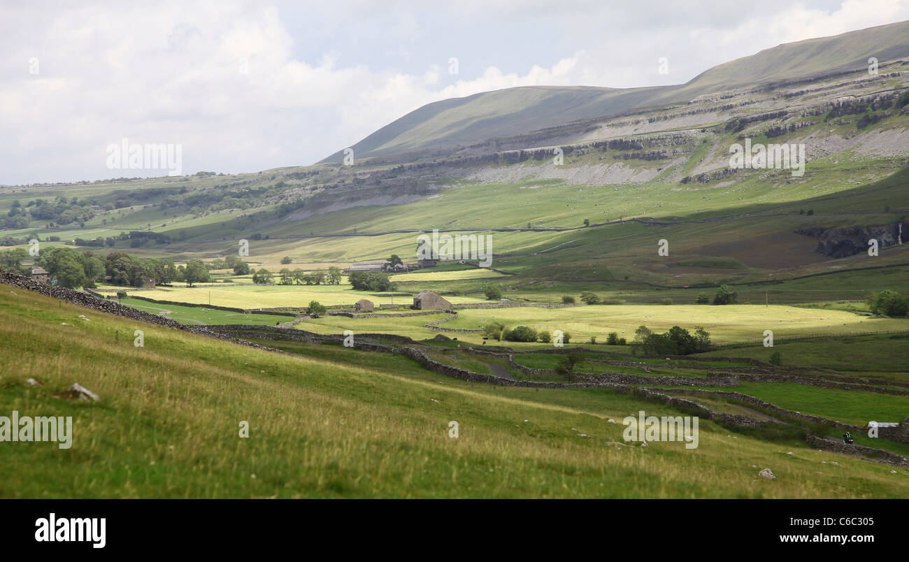 Guardando verso il parco e cadde Ingleborough lungo Twistleton Dale, North Yorkshire, Yorkshire Dales National Park, England, Regno Unito Foto Stock