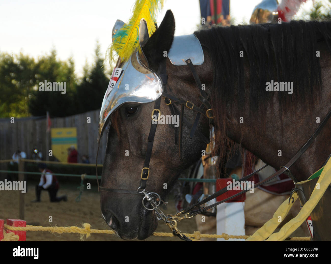 Cavallo con Armor protezione in un cavaliere in lotta. Foto Stock