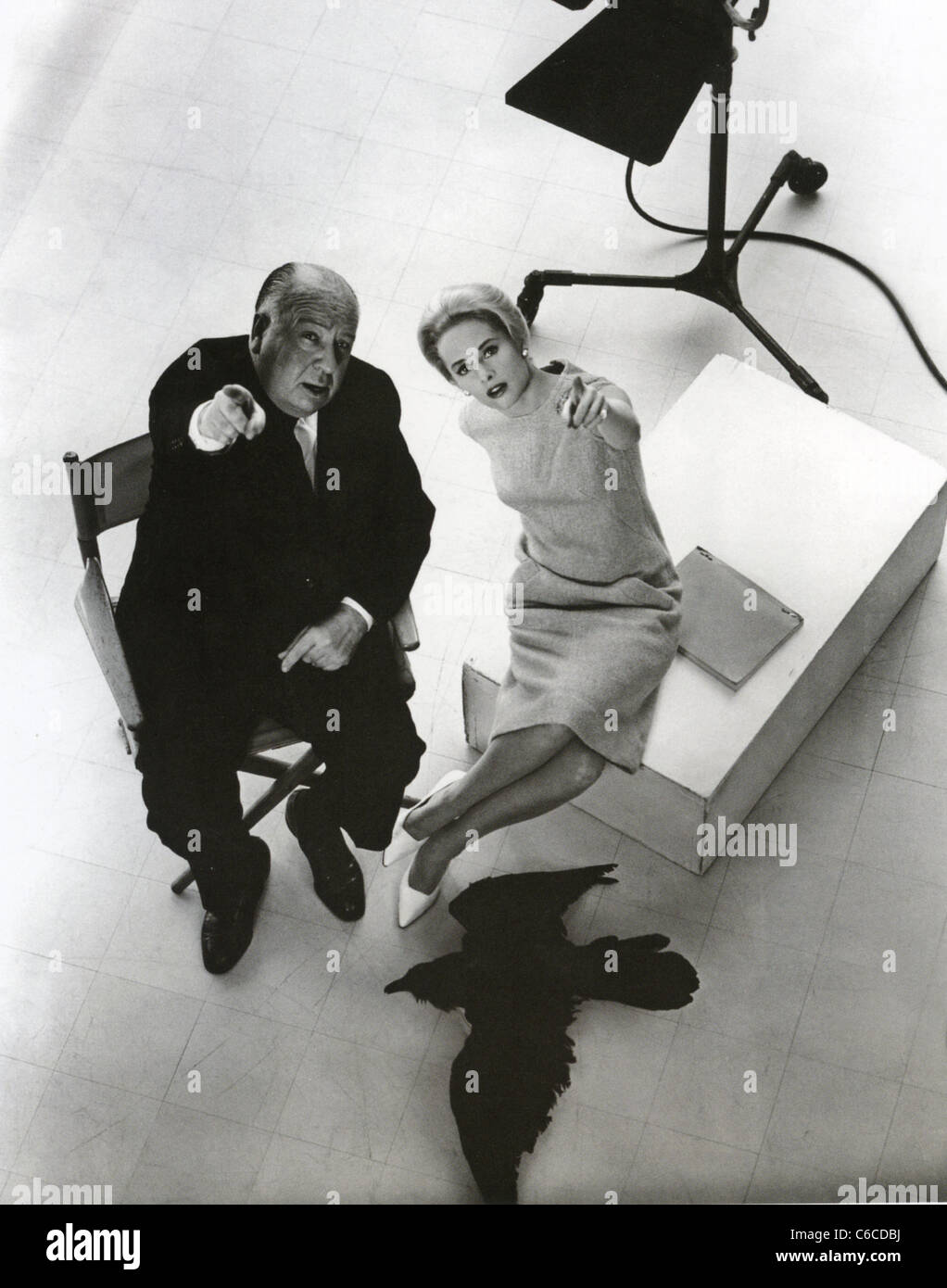 ALFRED HITCHCOCK e Tippi Hedren in foto di pubblicità per il suo film 1963 Gli Uccelli Foto Stock