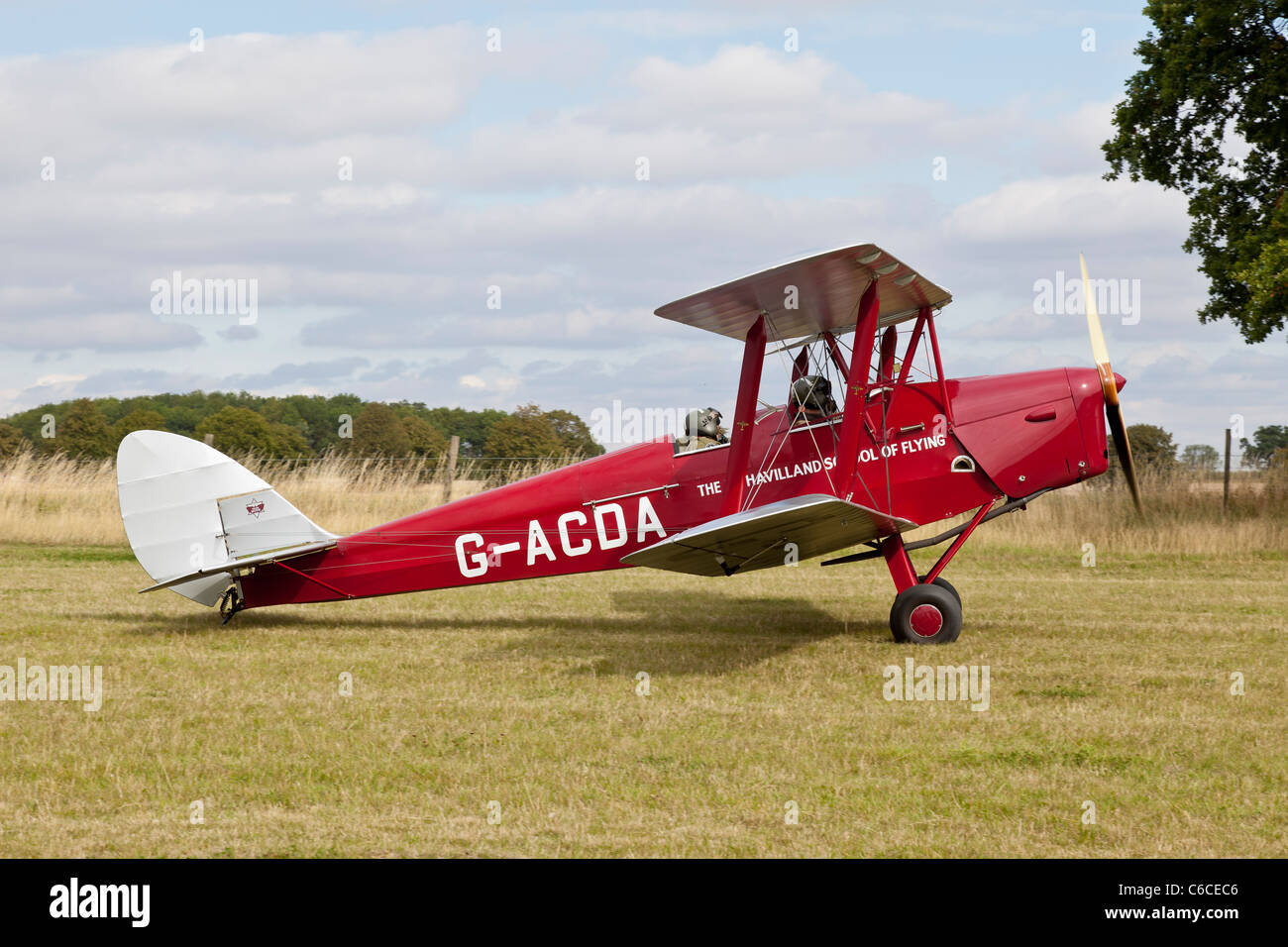 De Havilland DH-82A Tiger Moth II, reg G-ACDA, il più antico sopravvissuto Tiger Moth, al Castello di Belvoir Foto Stock