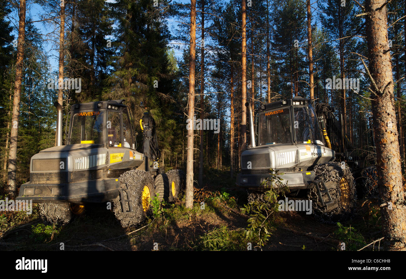 Ponsse Ergo e Bison nella foresta di pini taiga , Finlandia Foto Stock
