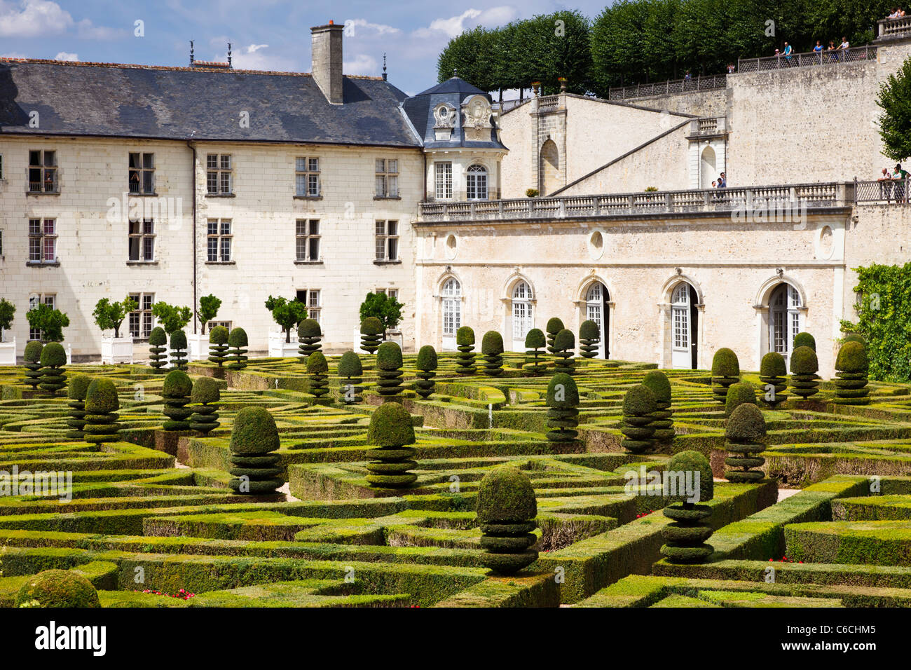 Topiaria da in un giardino formale al castello di Villandry, Indre et Loire, Francia, Europa Foto Stock