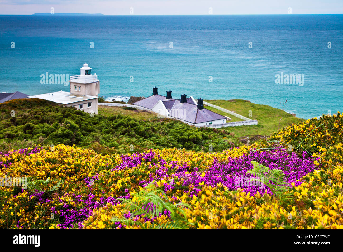 Gorse giallo e viola heather con Bull Point Lighthouse e Lundy Island, vicino a Woolacombe e Morthoe, Devon, Inghilterra, Regno Unito Foto Stock