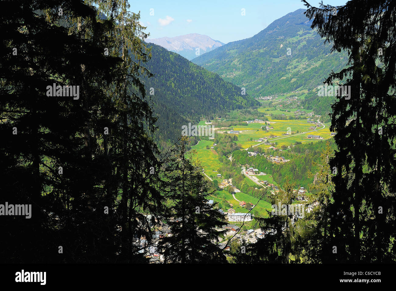 Il verde dei prati e delle aziende agricole nella regione di Beaufortain nelle Alpi francesi, Savoie, Europa Foto Stock