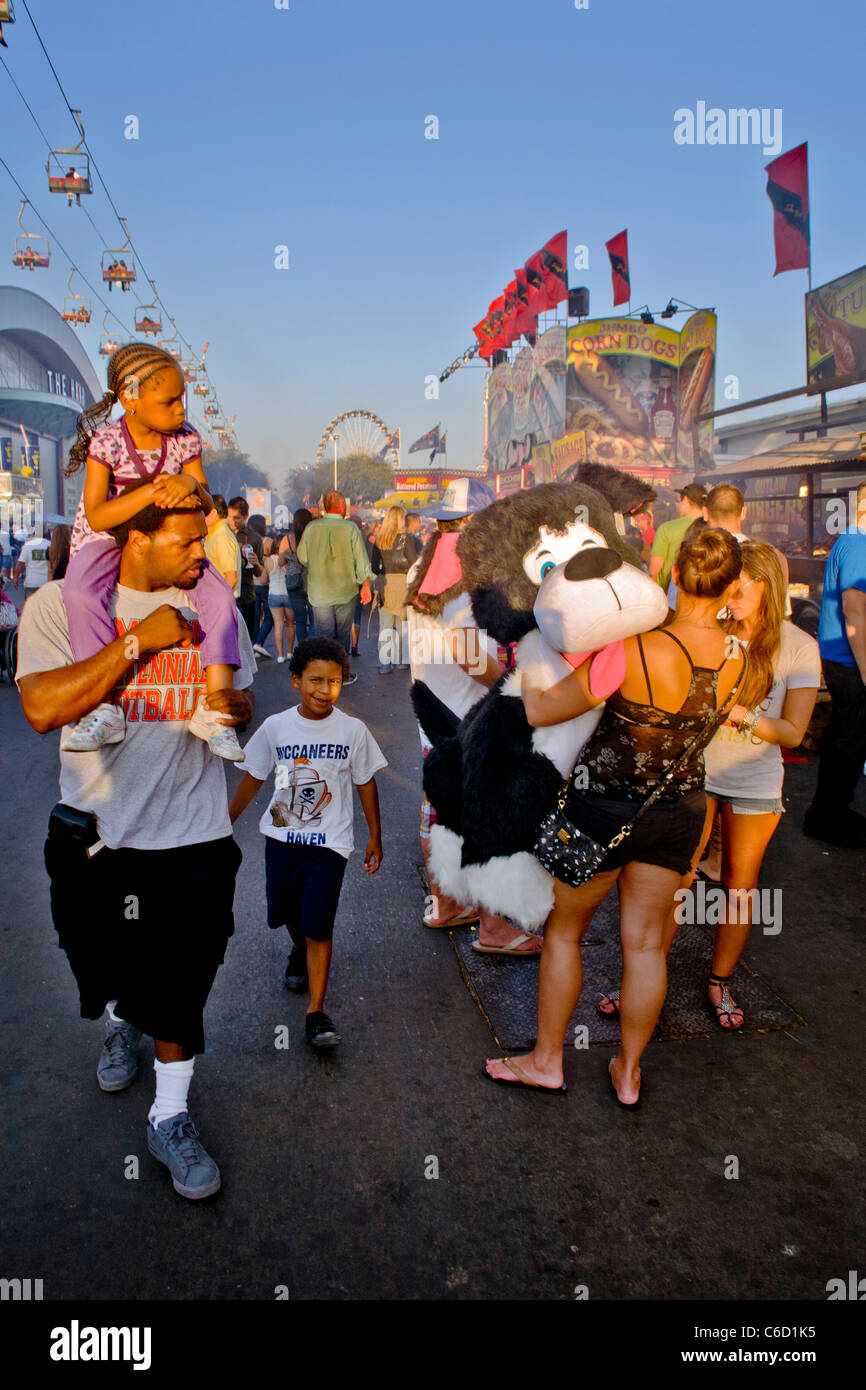 Il vincitore di un cane peloso premio presso il parco di divertimenti della Orange County Fair di Costa Mesa, CA, ottiene un interrogatorio look. Foto Stock