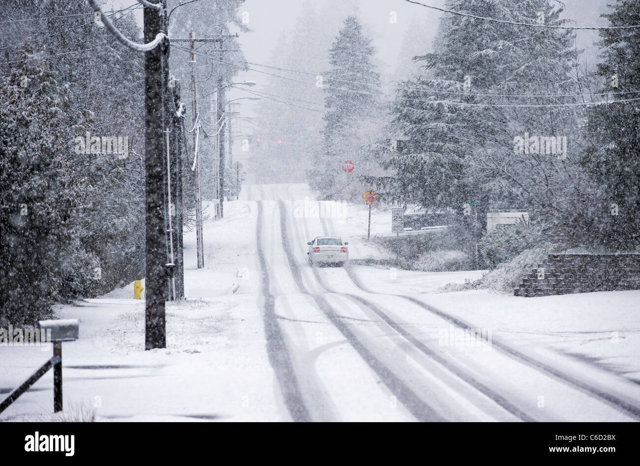 Guida auto sulla strada residenziale durante la tempesta di neve, Seattle, Washington, Stati Uniti d'America Foto Stock