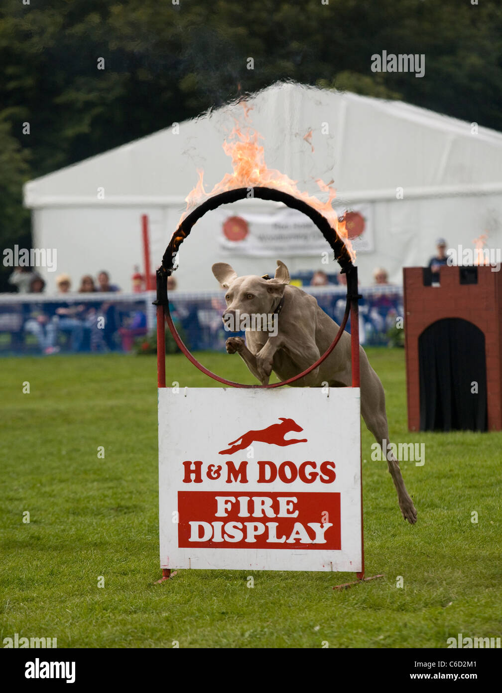 Southport Flower Show   persone ed eventi 2011, Victoria Park, Southport, Merseyside, Regno Unito Foto Stock