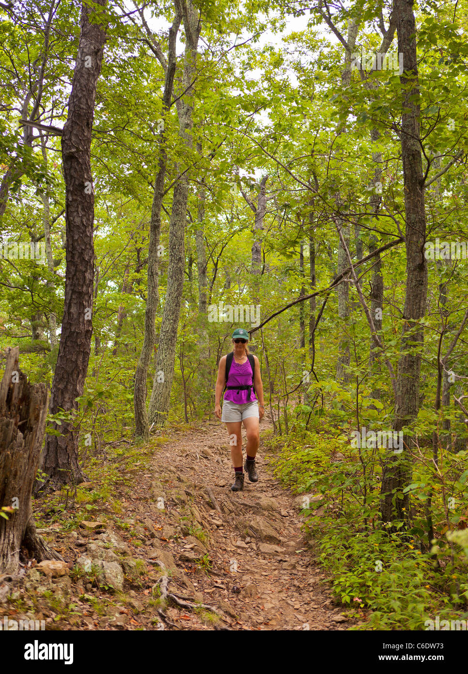 APPALACHIAN TRAIL, Virginia, Stati Uniti d'America - Donna escursionista sul sentiero di McAfee manopola sulla montagna Catawba, vicino alla città di Roanoke. Foto Stock