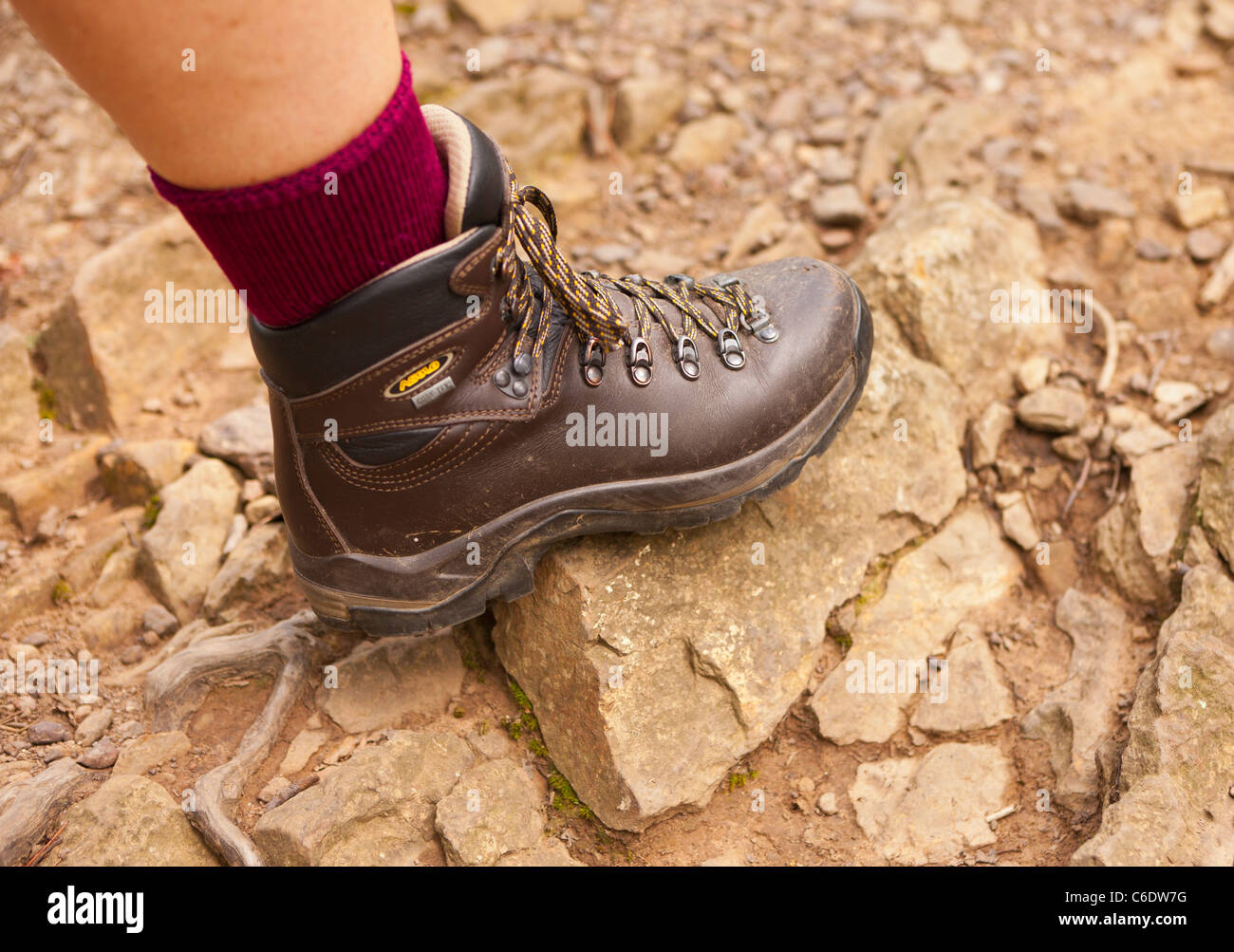 APPALACHIAN TRAIL, Virginia, Stati Uniti d'America - Close-up di escursionismo e avvio della gamba sul sentiero per McAfee manopola sulla montagna Catawba Foto Stock
