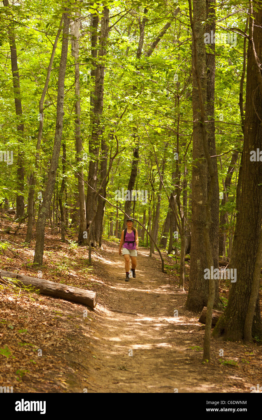 APPALACHIAN TRAIL, Virginia, Stati Uniti d'America - Donna escursionista sul sentiero di McAfee manopola sulla montagna Catawba, vicino alla città di Roanoke. Foto Stock