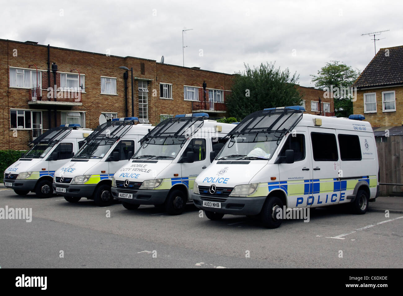 Norfolk polizia fornendo aiuto reciproco alla polizia metropolitana di Tottenham Foto Stock