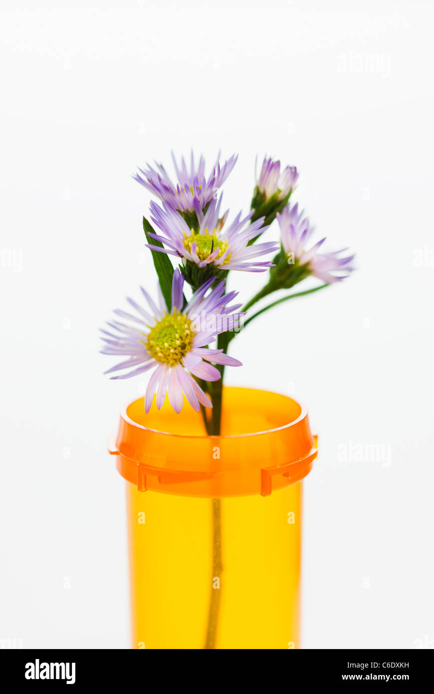 La medicina di erbe in pillole bottiglia Foto Stock