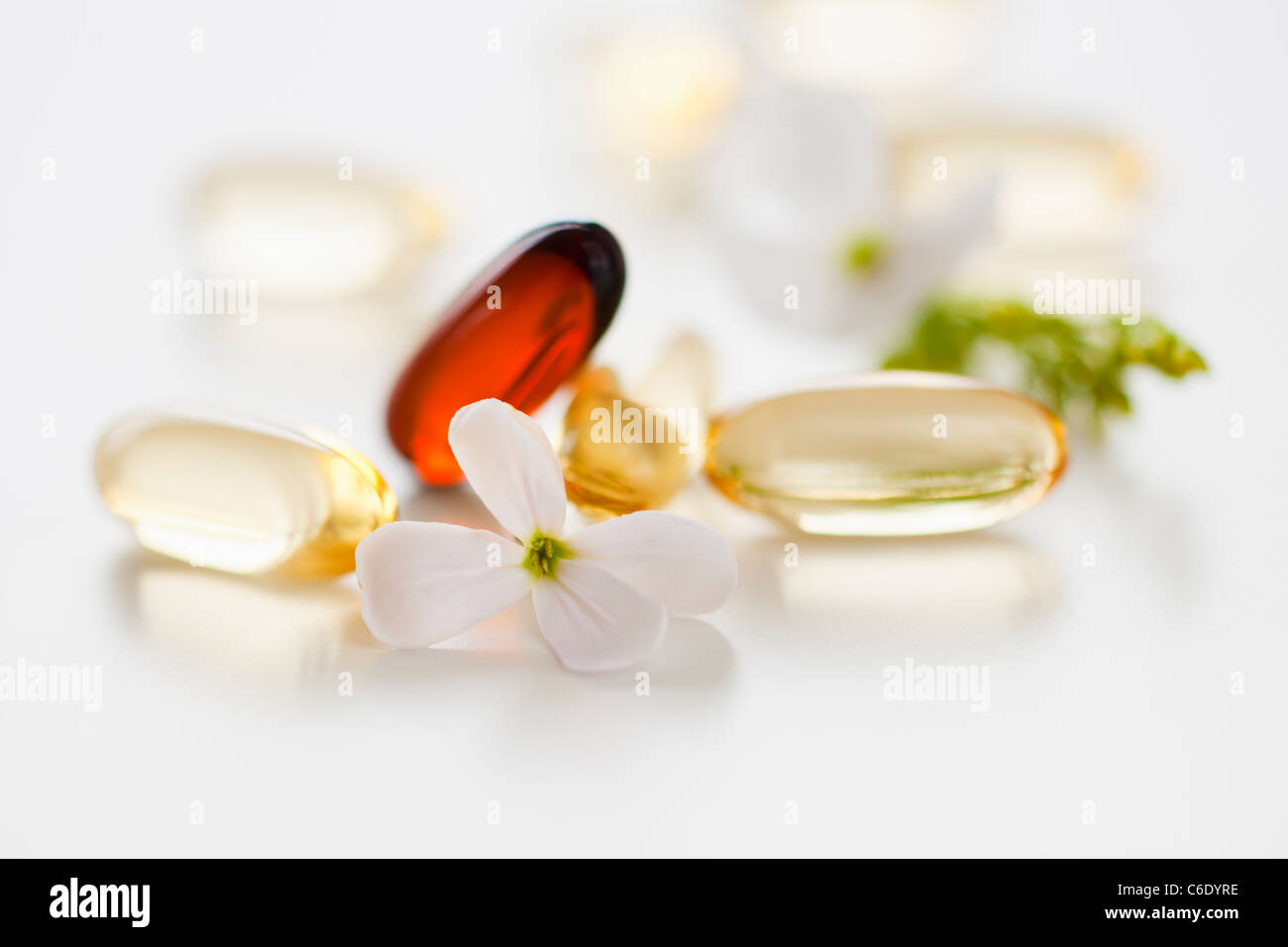 La medicina di erbe pillole Foto Stock