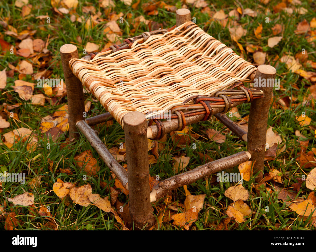 Hazel sgabello telaio con tessuto willow seat tra foglie di autunno Foto Stock