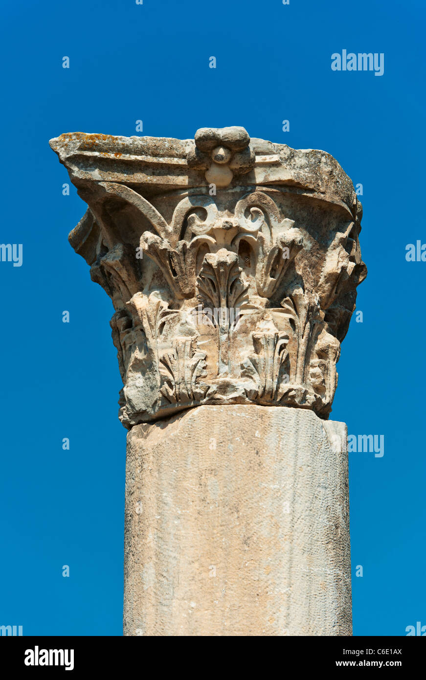 La Turchia, Efeso, colonne corinzie Foto Stock