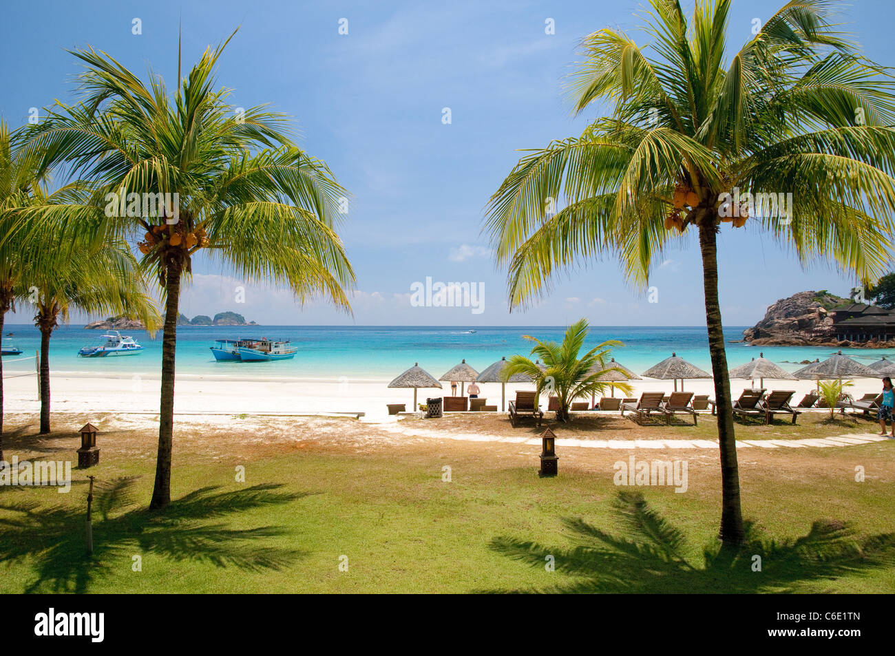 Spiaggia con palme, Pulau Redang Island, Malaysia, Asia sud-orientale, Asia Foto Stock