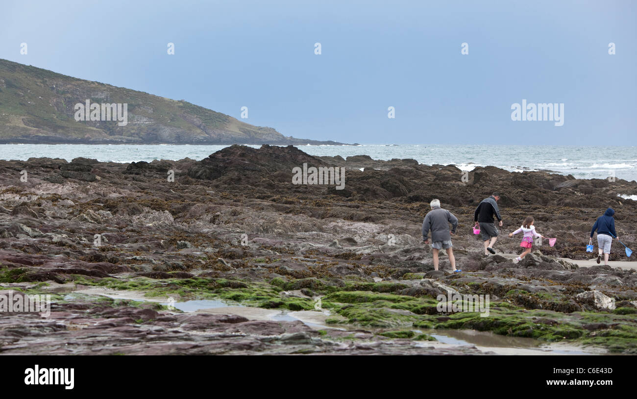 Una famiglia impostato su off in una spedizione per stagno immersione, Spiaggia di Wembury, Devon, Inghilterra, Regno Unito. Foto Stock