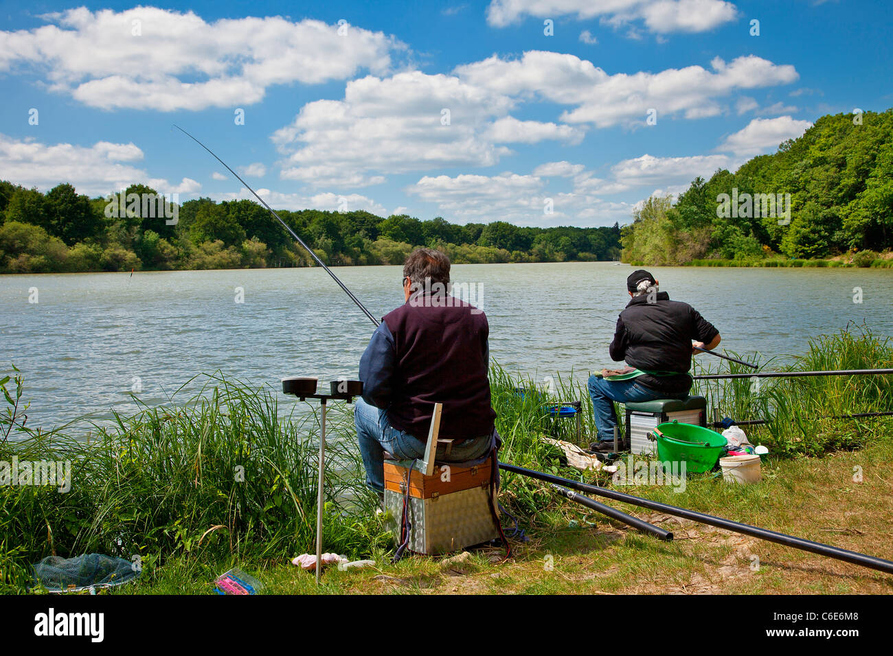 L'Europa, Francia, Yvelines (78), Rambouillet, Etang de la Tour Foto Stock